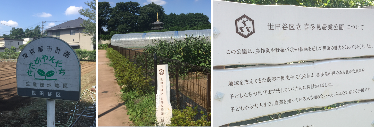 ブログ 世田谷 喜多見農業公園 フード マイレージ資料室